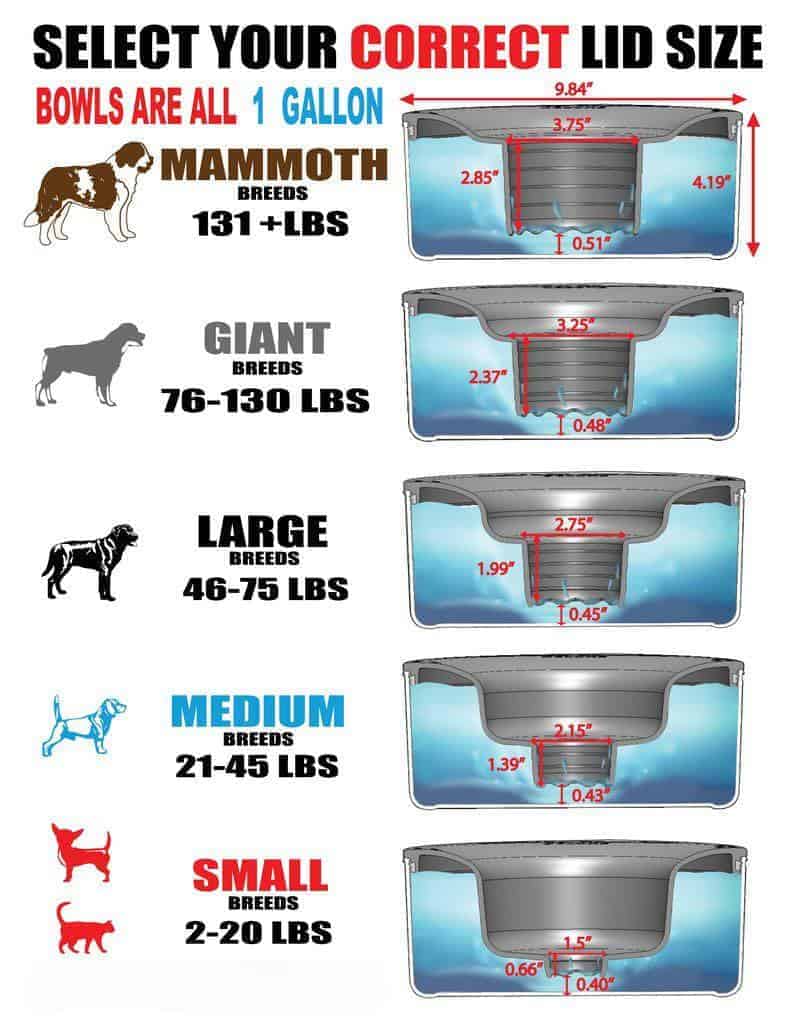 slopper stopper dripless water bowl cleverpuppytraining com dog bowl size chart