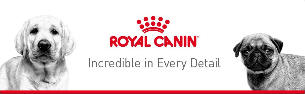 royal-canin-dry-food