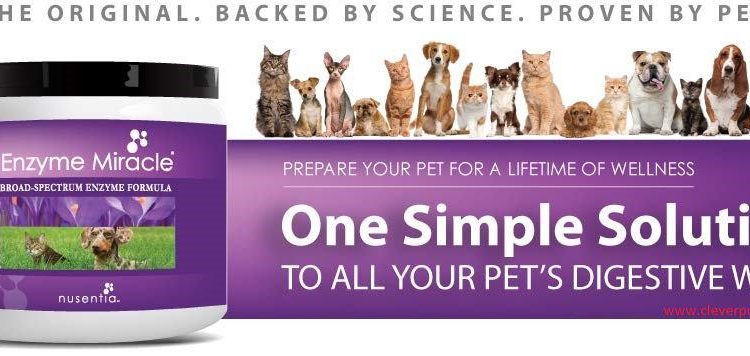 pet-balance-enzyme-miracle