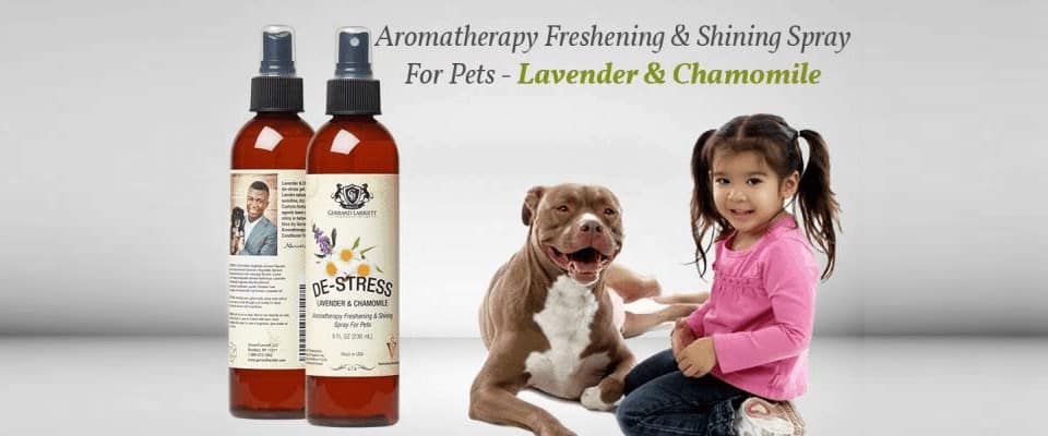 aromatherapy spray for dog