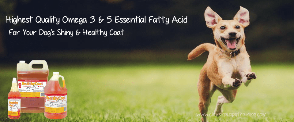 healthycoat omega fatty acid