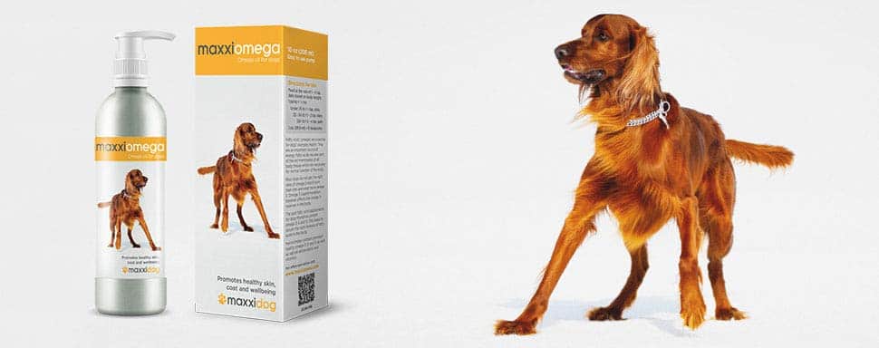 Fish Oil for Dog